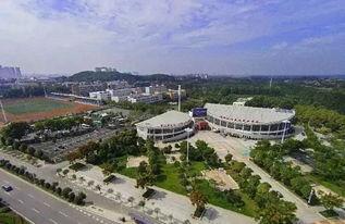 武汉东西湖最新爆料,揭秘区域发展新动向与亮点